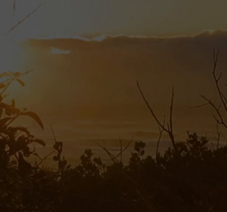 Ava Little 最高のスター 画像