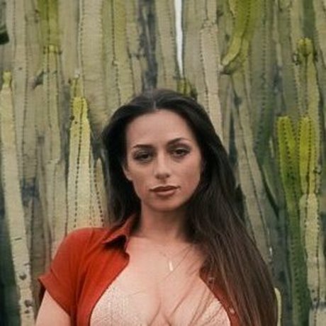 SweetTits20 最高のポルノスター 写真