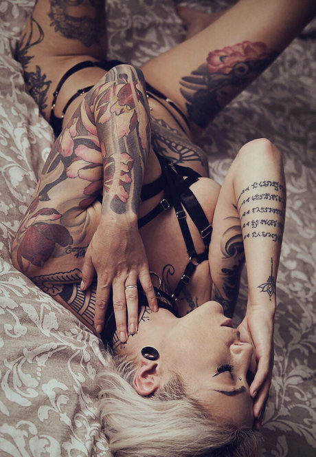 フラットオンリーファン トップ 写真