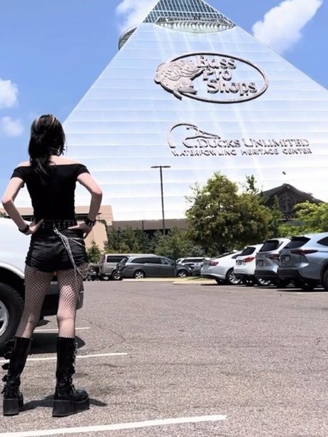 官能的なOnlyFans セクシー アーカイブ