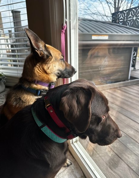 onlyneatbunny アートスター 画像