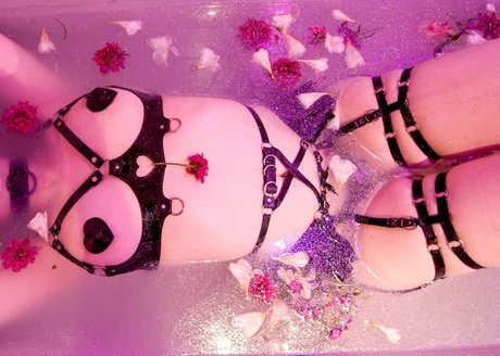 Jazmin Pastela 高品質のスター 写真