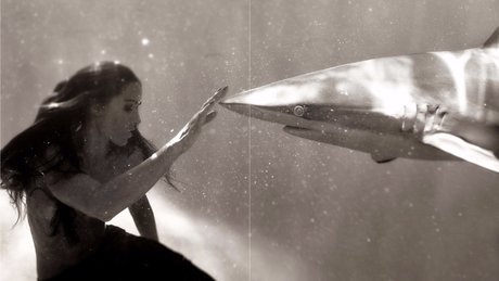 美しいアジアのOnlyFans 素敵 写真