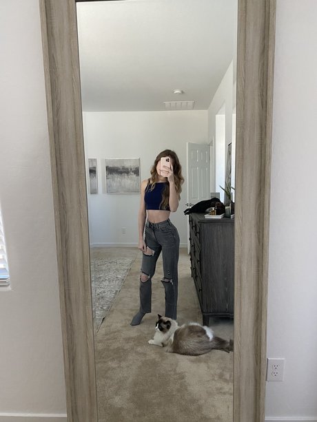 Knights Ry セクシーなポルノスター 画像