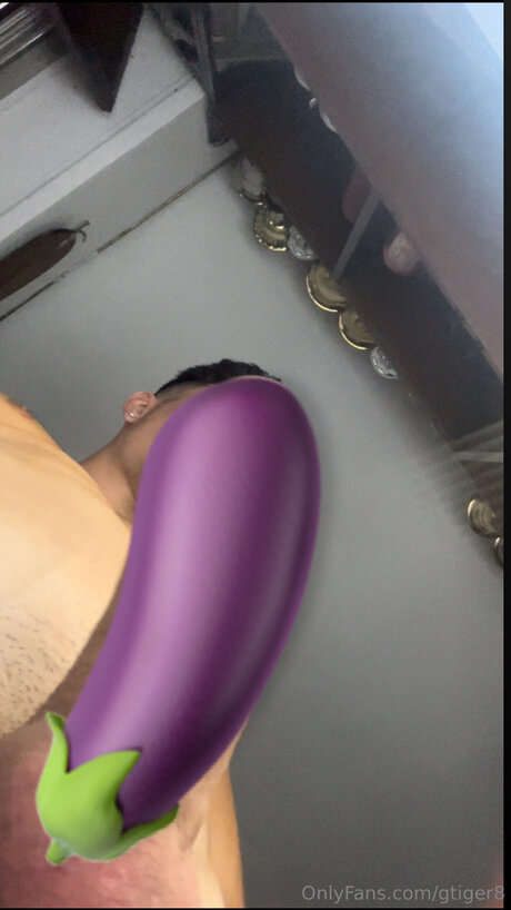 Gtiger8 トップスター ギャラリー