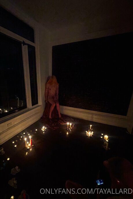 Tayallard トップポルノスター 写真