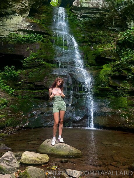 Tayallard 限定スター 写真