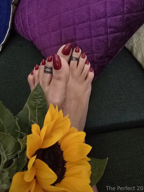 Theflawless20 XXXモデル 写真