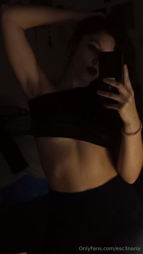 Esc3naria 完璧なモデル アーカイブ