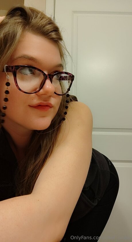 Chef Tulips 高品質のスター 写真