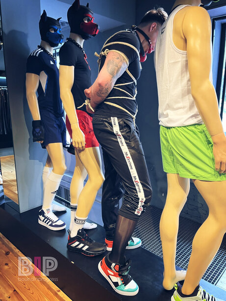 若いティーンのOnlyFans ホットヌード 写真