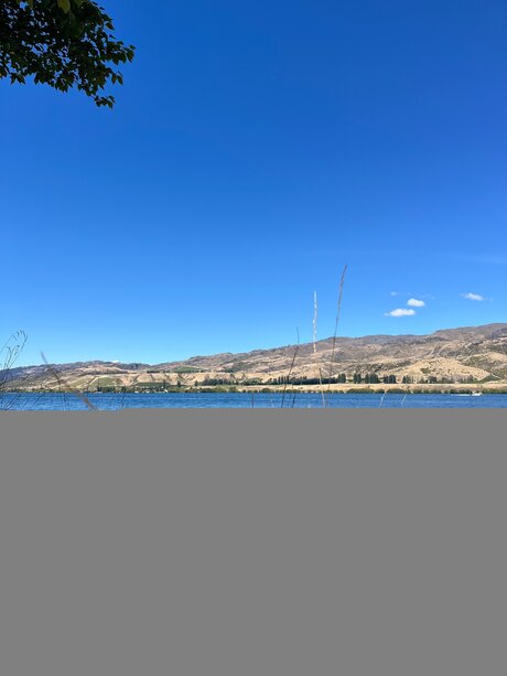 マッサージ動画 OnlyFans ホットセクシー 画像