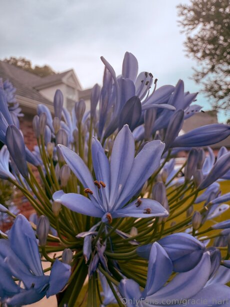 Gracie Hart 最高のモデル 画像