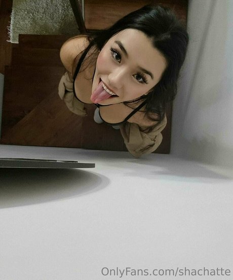 shachatte ヌード女優 写真