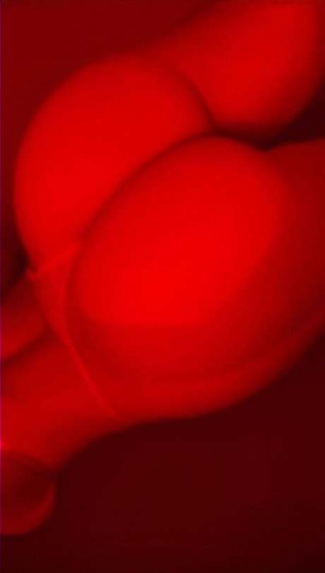 Brimarcos セックスポルノスター 画像