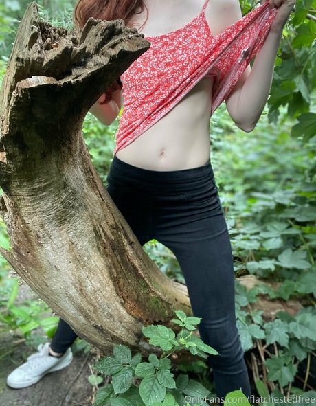 flatchestedfree 無料のスター 写真