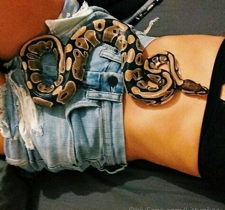 kittynkaa アートスター 画像