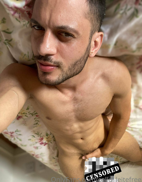 cello leitefree 最高の女優 画像