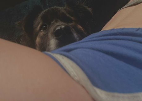 ghosti ホットなスター ギャラリー