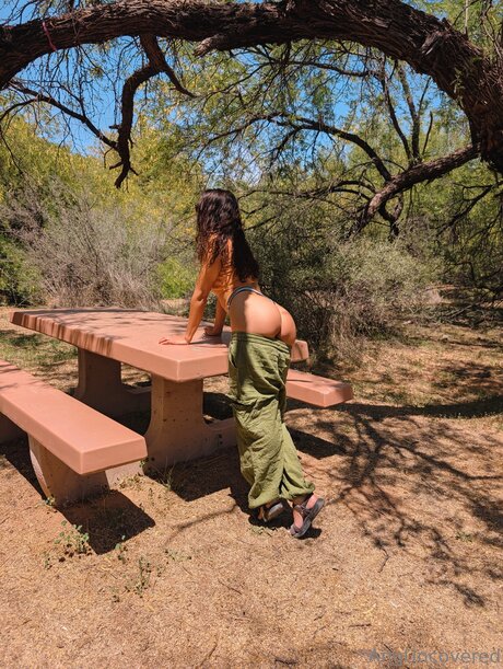 Angventures xxxポルノスター 画像