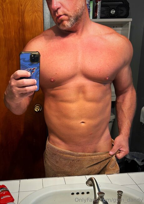 Gym Dandy 完璧なモデル 画像