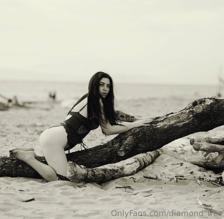 Diamond Free ポルノモデル 写真