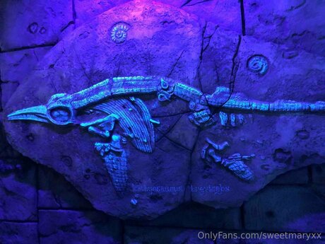 Rubyyexclusive xxxポルノスター 写真