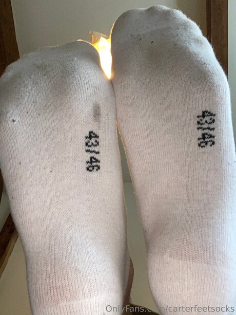 Carterfeetsocks スター 画像