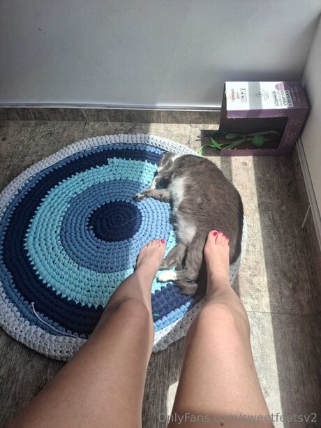 Sweetfeetsv2 top profile image