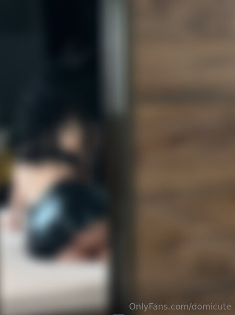 Domicute ポルノスター 写真