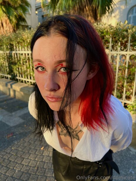 Domicute HDポルノスター ギャラリー