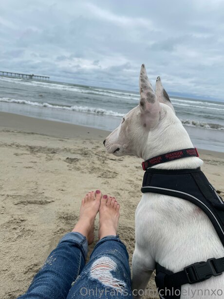 Chloelynnxo 限定モデル 写真