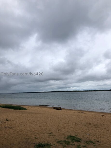 Iva420 アートモデル 画像