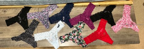 Blakespice 高品質のスター 写真