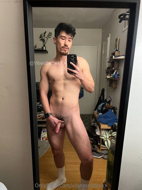 Vibesxxx ポルノ女優 写真