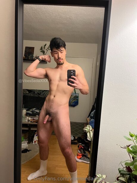 Vibesxxx スター ヌード 写真