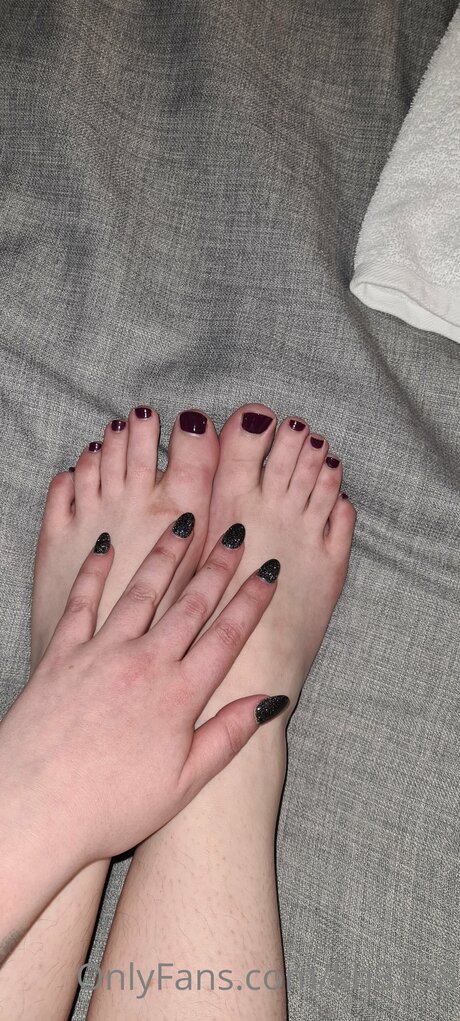 Kh3338 素敵なスター 画像