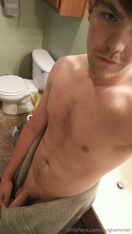 Avghammer 独占スター ギャラリー