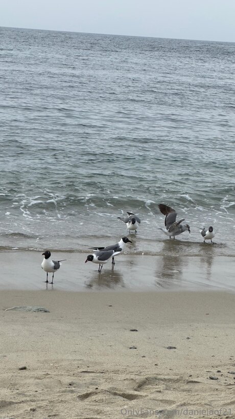 Danielaof21 最高のポルノスター アーカイブ