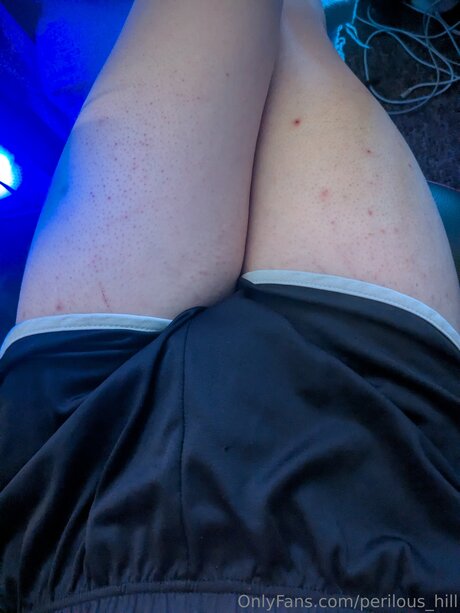 Perilous Hill 美しいモデル 画像