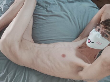 Fox Backyard かわいいスター 写真