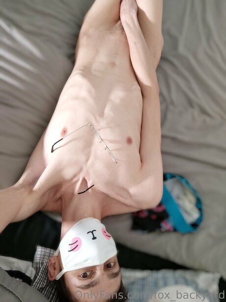 Fox Backyard 無料のスター 写真