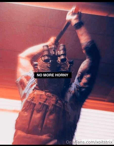 Xoitstrix XXXモデル 画像