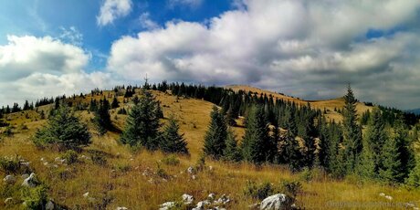 Mickey93 最高のスター 写真