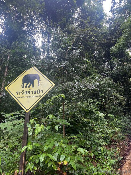 ニューハーフ巨乳OnlyFans ポルノグラフィック アーカイブ