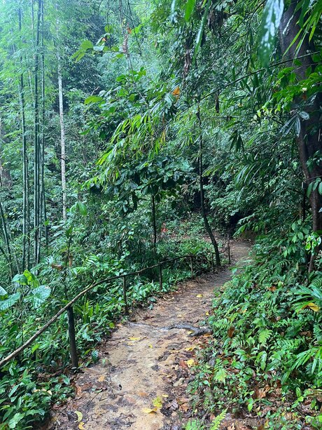 美しいロシアのOnlyFans 無料 画像