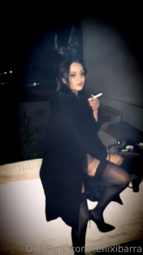 Fenixibarra profile image