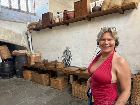 Travelsunshine 高品質のスター 写真