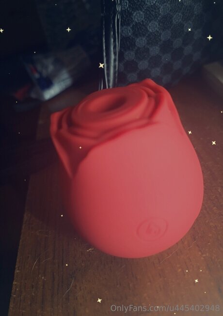 U445402948 ホットスター ギャラリー