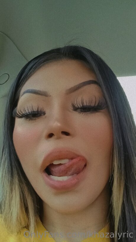 Anihsyt モデル ギャラリー